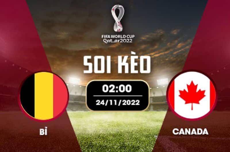 Soi kèo Bỉ vs Canada, 02h00 ngày 24/11/2022 nhận định chuẩn nhất 2022 2 Soi kèo Bỉ vs Canada